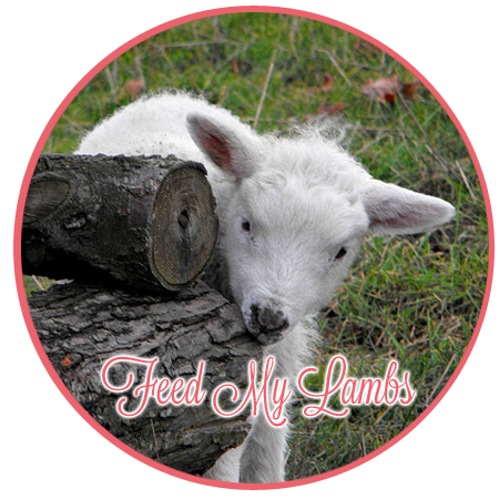 lamb in circle copy