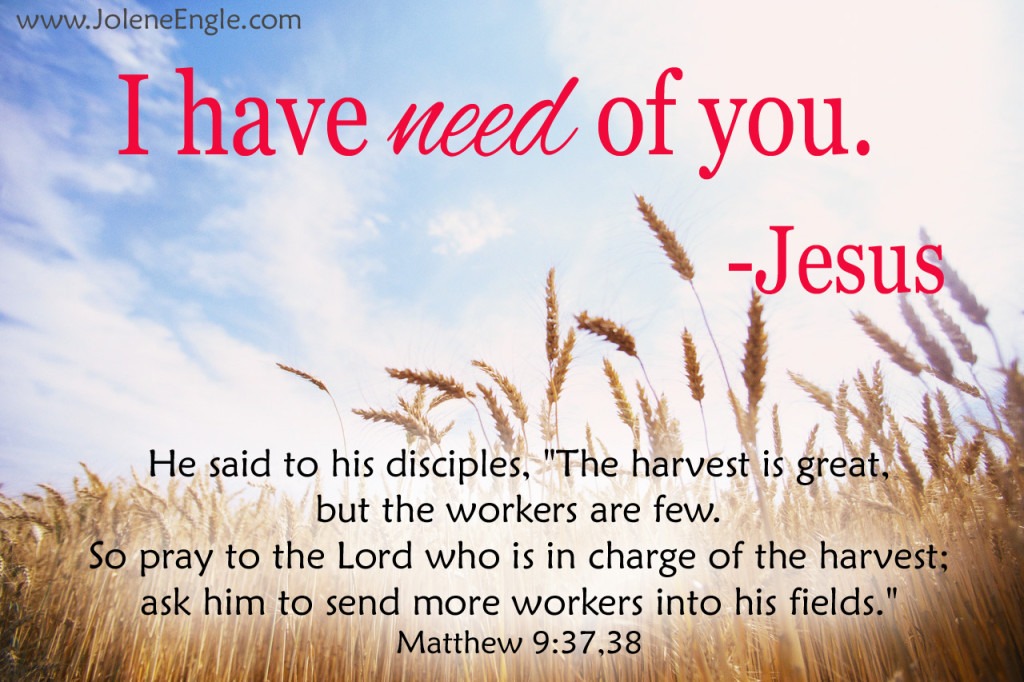 The harvest is plentiful and the workers are few.