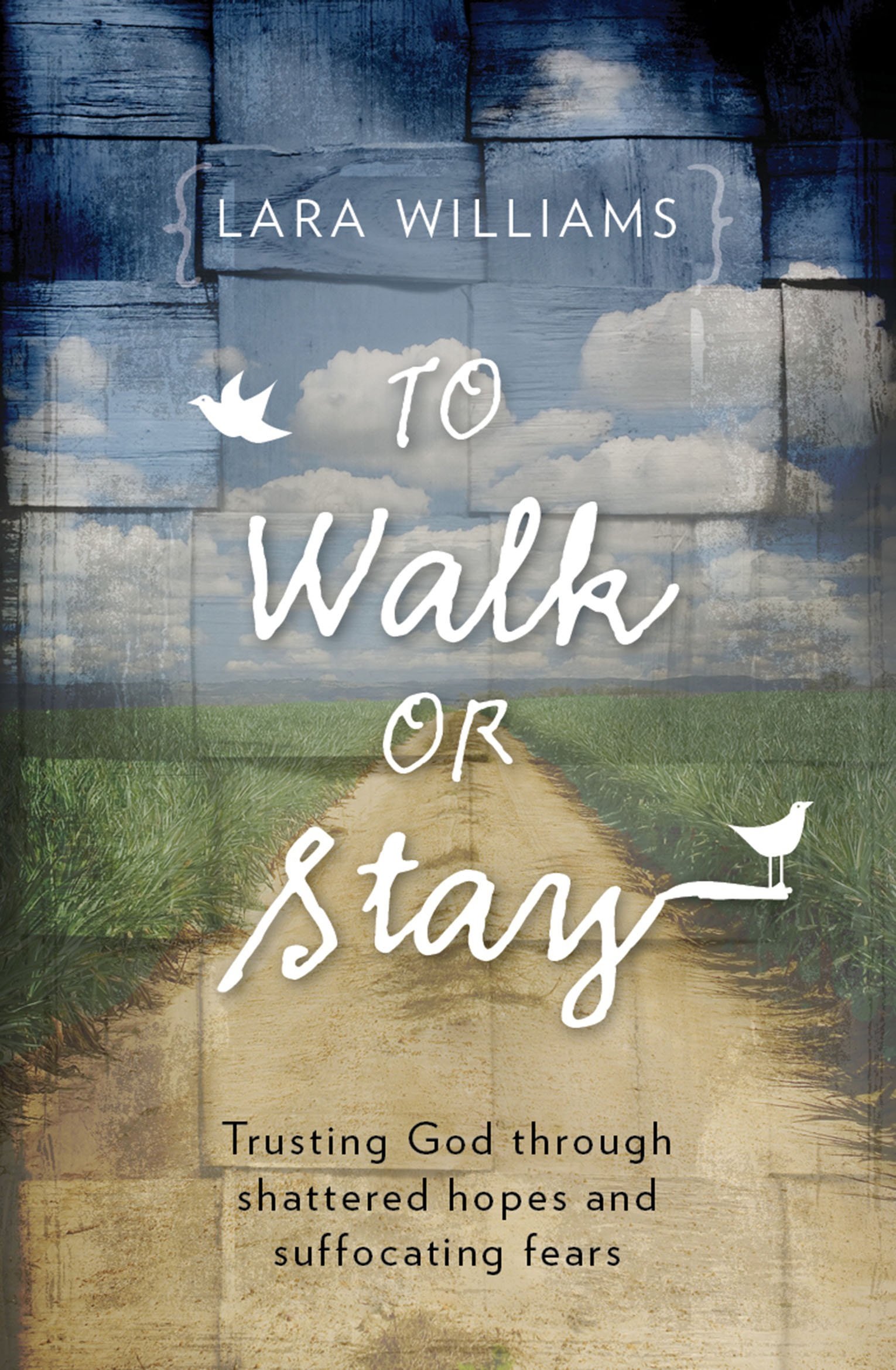 To Walk or Stay by Lara Williams