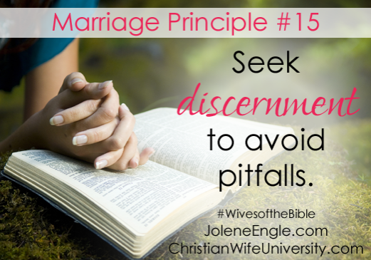 Marriage Principle #15 from the life of Abigail- Wives of the Bible by Jolene Engle